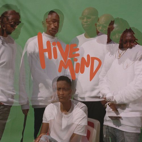 Hive Mind (The Internet) (Vinyl / 12