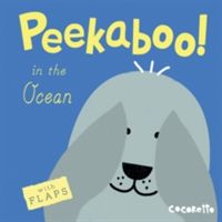 In the Ocean! (Cocoretto)(Board book)