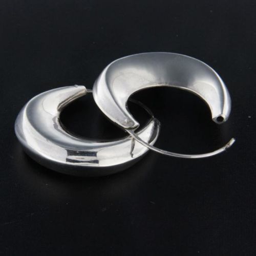 Stříbrné náušnice 26099