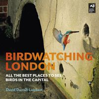 Birdwatching London - All the Best Places to See Birds in the Capital (Darrell-Lambert David)(Paperback)