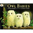 Owl Babies (Waddell Martin)(Paperback)