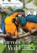 Parrots of the Wild - A Natural History of the World's Most Captivating Birds (Toft Catherine Ann)(Pevná vazba)