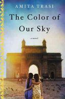Color of Our Sky - A Novel (Trasi Amita)(Paperback)