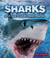 Sharks (Hubbard Ben)(Paperback / softback)