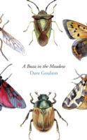 Buzz in the Meadow (Goulson Dave)(Paperback)