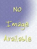 There Will be Lies (Lake Nick)(Paperback)