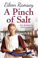 Pinch of Salt (Ramsay Eileen)(Paperback)