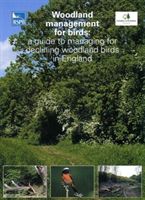 Woodland Management for Birds - A Guide to Managing for Declining Woodland Birds in England (Symes N.)(Paperback)