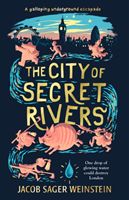 City of Secret Rivers (Weinstein Jacob Sager)(Paperback)