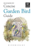 Concise Garden Bird Guide (Bloomsbury)(Paperback / softback)