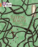Sleeping Beauty (Rooney Rachel)(Paperback)