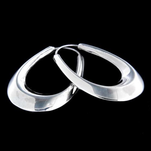 Stříbrné náušnice 13703