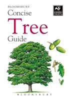 Concise Tree Guide (Bloomsbury)(Paperback / softback)
