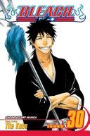 Bleach, Volume 30: There Is No Heart Without You (Kubo Tite)(Paperback)