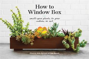 How To Window Box - Small-Space Plants to Grow Indoors or Out (Benoit Ryan)(Pevná vazba)