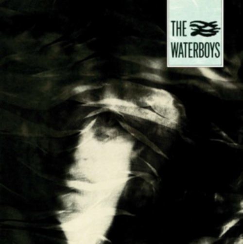 The Waterboys (The Waterboys) (Vinyl / 12