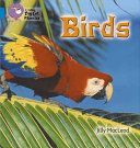 Birds - Band 04/Blue (McLeod Jilly)(Paperback)