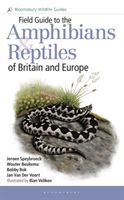 Field Guide to the Amphibians and Reptiles of Britain and Europe (Speybroeck Jeroen)(Paperback)