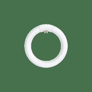 NBB Nbb Lc 22w t9/827 g10q