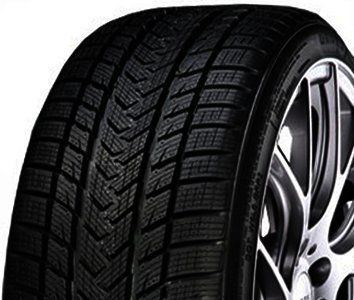 Gripmax Status Pro Winter 255/40 R19 100 V XL Zimní