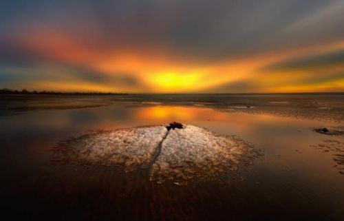1X Umělecká fotografie  By sunset, Piotr Krol (Bax)