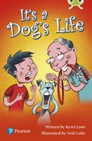 Bug Club Lime Plus B It's a Dog's Life (Lane Kerri)(Paperback / softback)