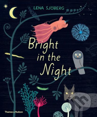 Bright in the Night - Lena Sjöberg