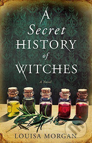 A Secret History of Witches - Louisa Morgan