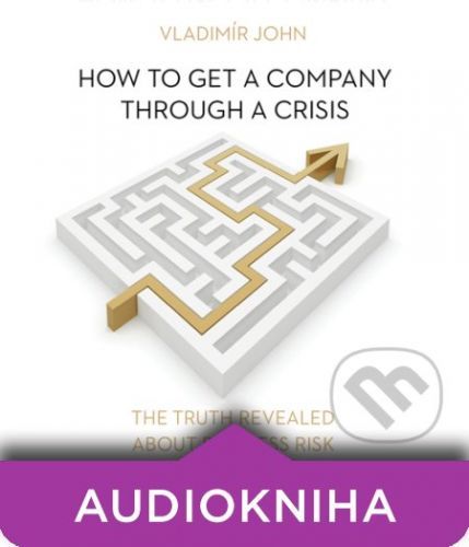 How to get a company through a crisis (EN) - Vladimír John