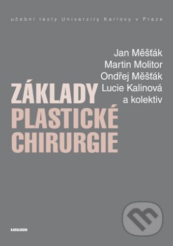 Základy plastické chirurgie - Jan Měšťák, Ondřej Měšťák