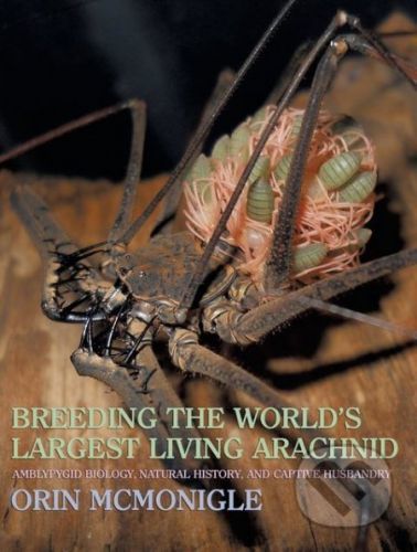Breeding the World's Largest Living Arachnid - Orin McMonigle