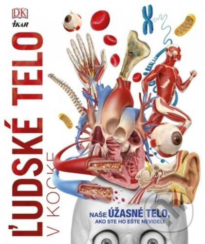 Ľudské telo v kocke -