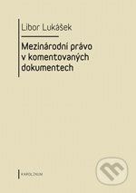 Mezinárodní právo v komentovaných dokumentech - Libor Lukášek