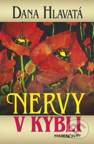 Nervy v kýbli - Dana Hlavatá