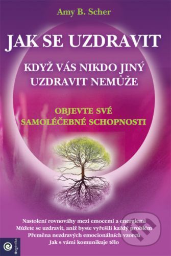 Jak se uzdravit, když vás nikdo jiný uzdravit nemůže - Amy B. Scher