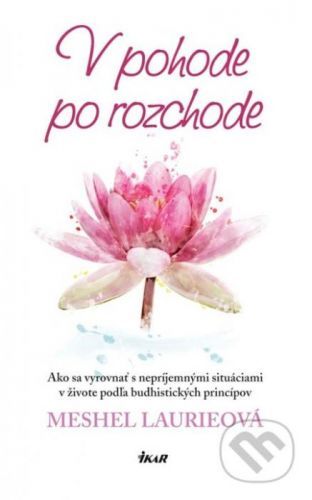 V pohode po rozchode - Meshel Laurie