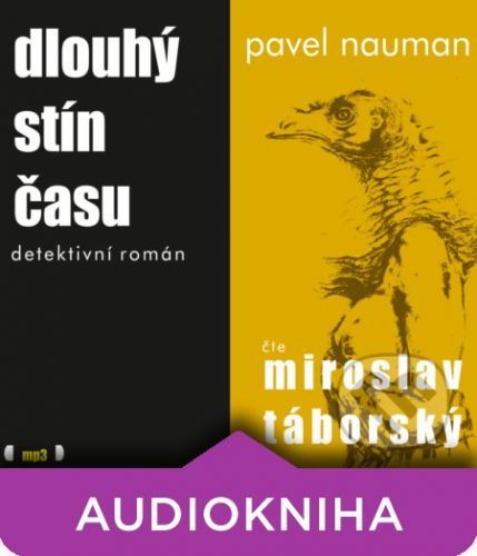 Dlouhý stín času - Pavel Nauman