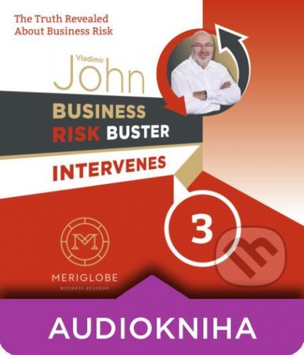 Business Risk Buster Intervenes 3 - Vladimír John