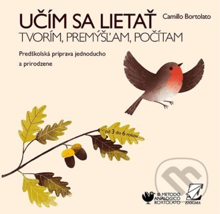 Učím sa lietať - Tvorím, premýšľam, počítam - Camillo Bortolato