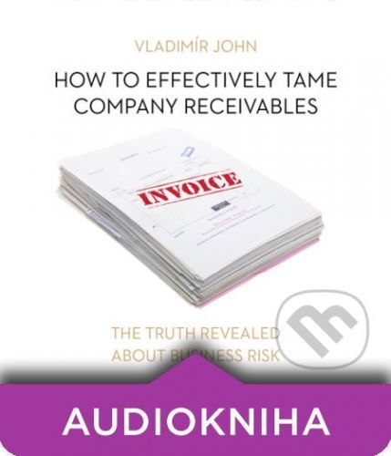 How to effectively tame company receivables (EN) - Vladimír John