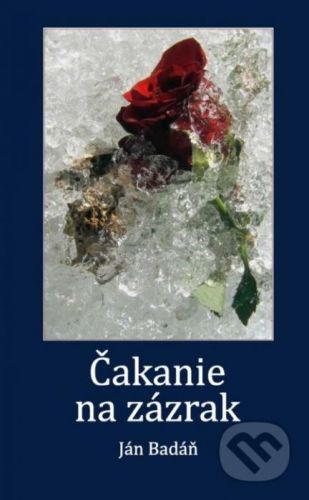 Čakanie na zázrak - Ján Badáň