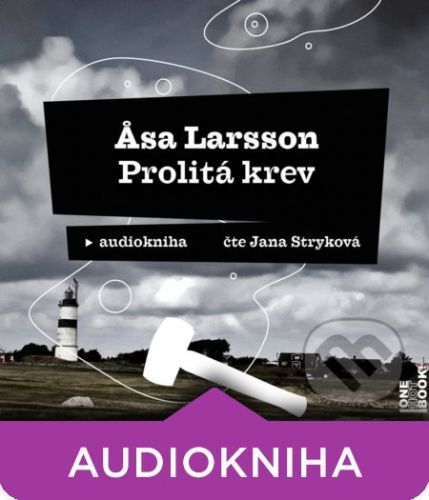 Prolitá krev - Asa Larsson