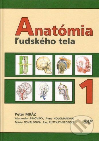 Anatómia ľudského tela 1 - Peter Mráz