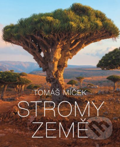 Stromy Země - Tomáš Míček