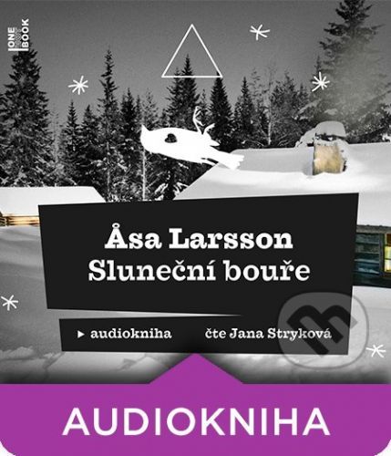 Sluneční bouře - Äsa Larsson