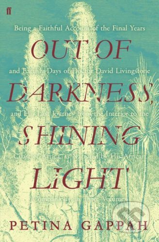 Out of Darkness, Shining Light - Petina Gappah