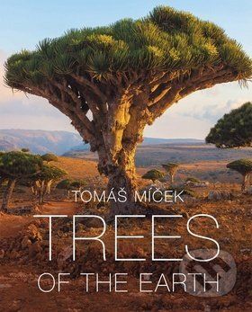 Trees of the Earth - Tomáš Míček