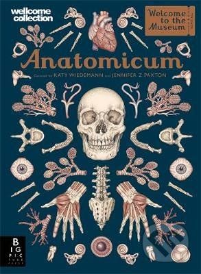 Anatomicum - Jennifer Z. Paxton, Katy Wiedemann (ilustrácie)