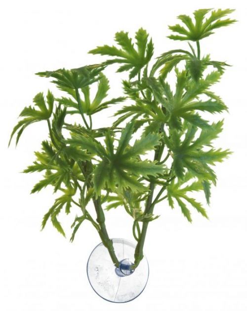 Zoo Med Rostlina akvarijní Betta Plant Papaya