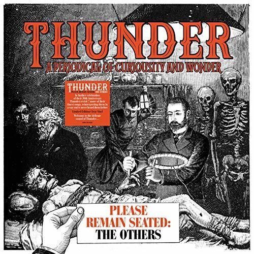 Please Remain Seated - The Others (Thunder) (Vinyl)